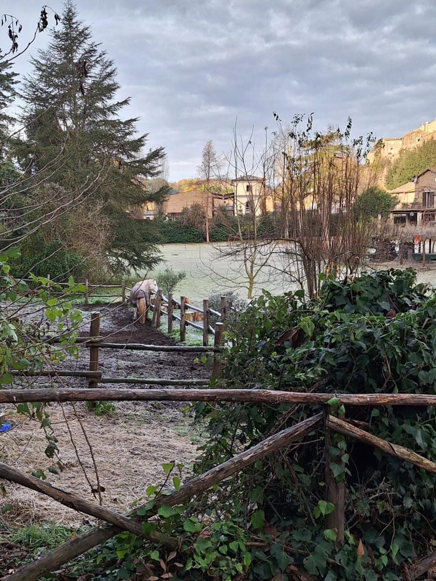 Radici Etrusche Sutri Hotel Kültér fotó